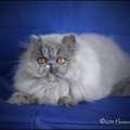 IMG_7643