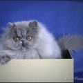 IMG_7677