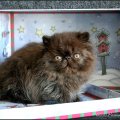 N-IMG_6052