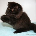 Love_me_baby-IMG_7054