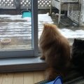 20160408_151626