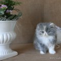 MARILOU_MG_5100