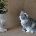 MARILOU_MG_5132