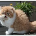 max-IMG_8418